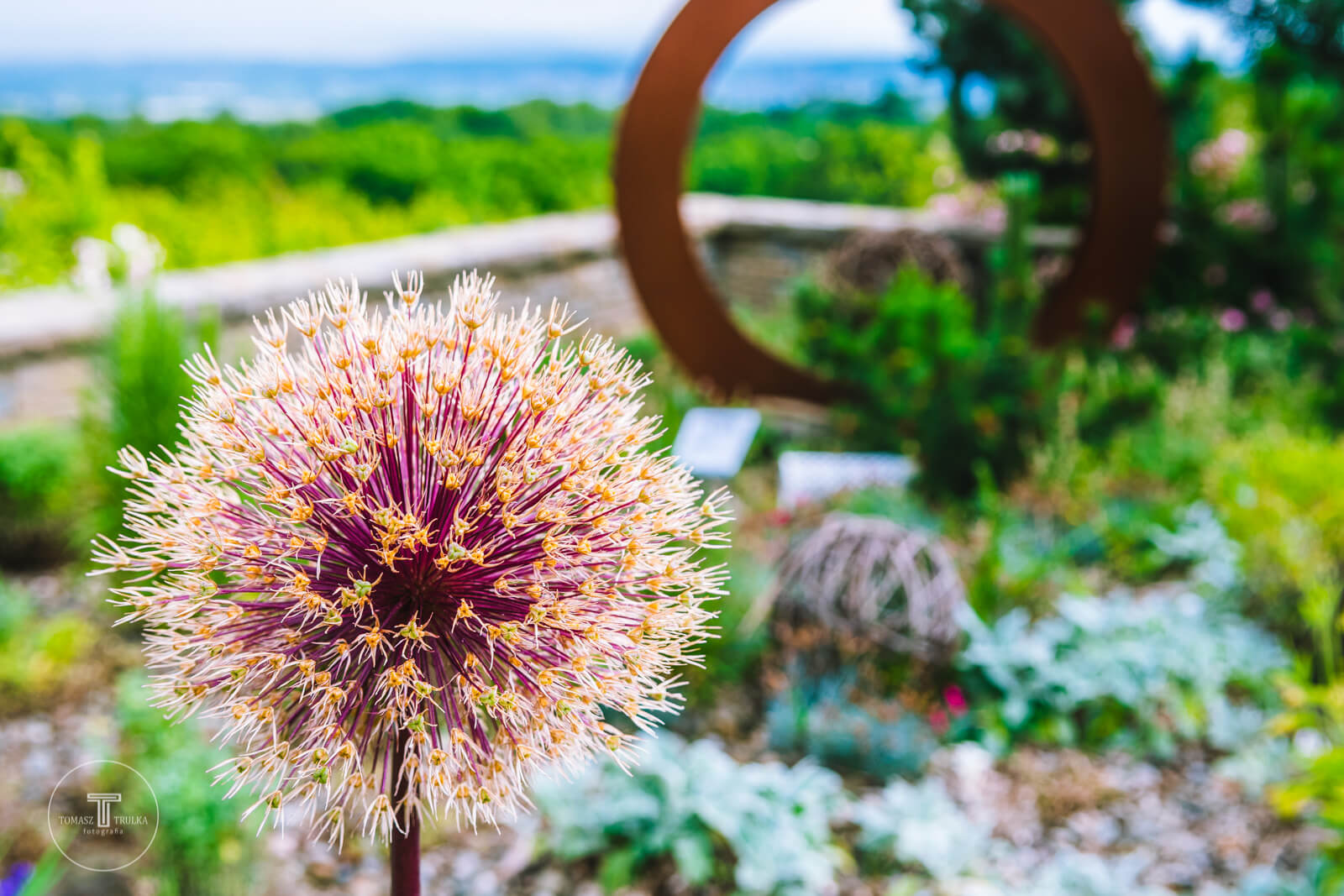 Po prostu Winnica „Święty Spokój” :)